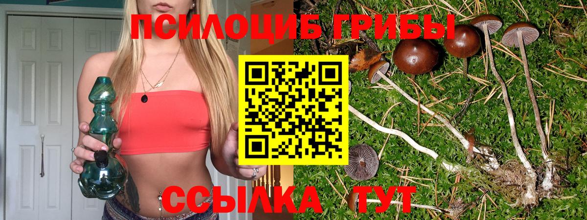 Лыткарино  Псилоцибиновые грибы мицелий  Вход с VPN 